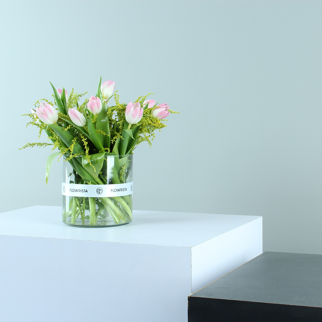 product-image-204