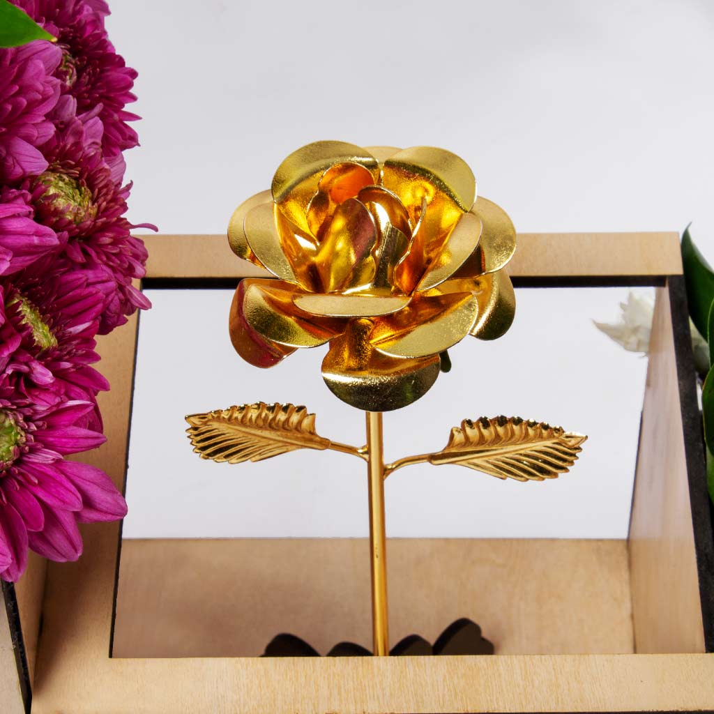 product-image-118