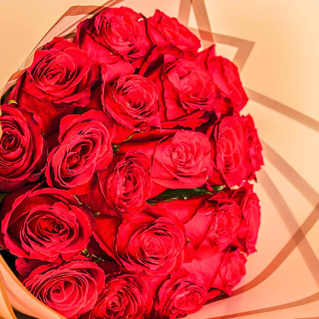 product-image-13922