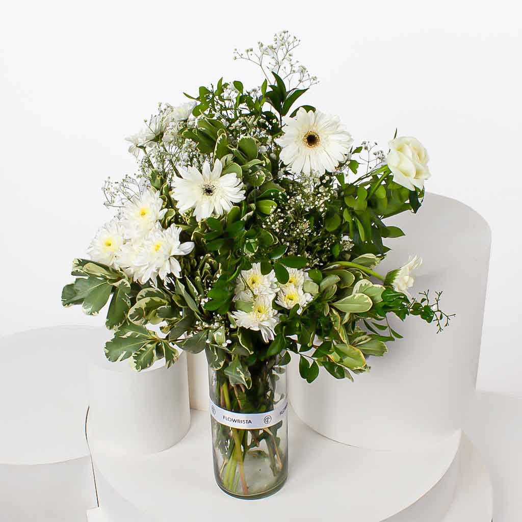 product-image-11373