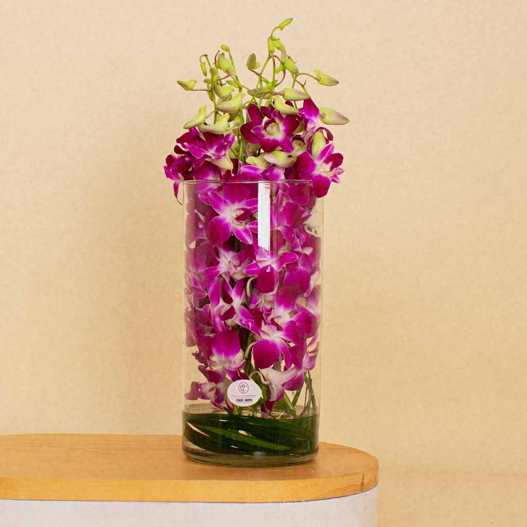 product-image-13527
