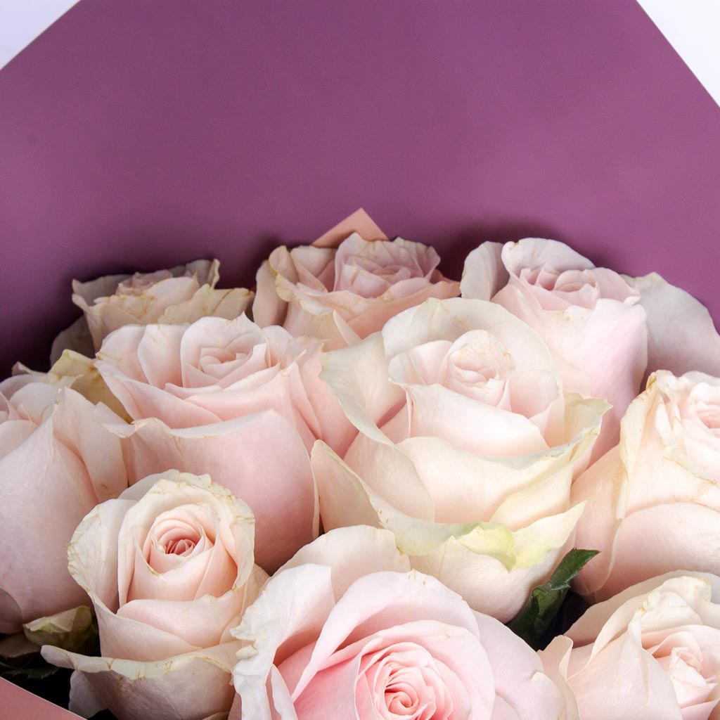 product-image-488