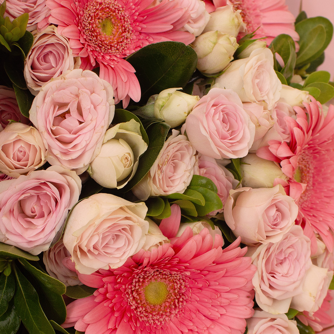 product-image-14120