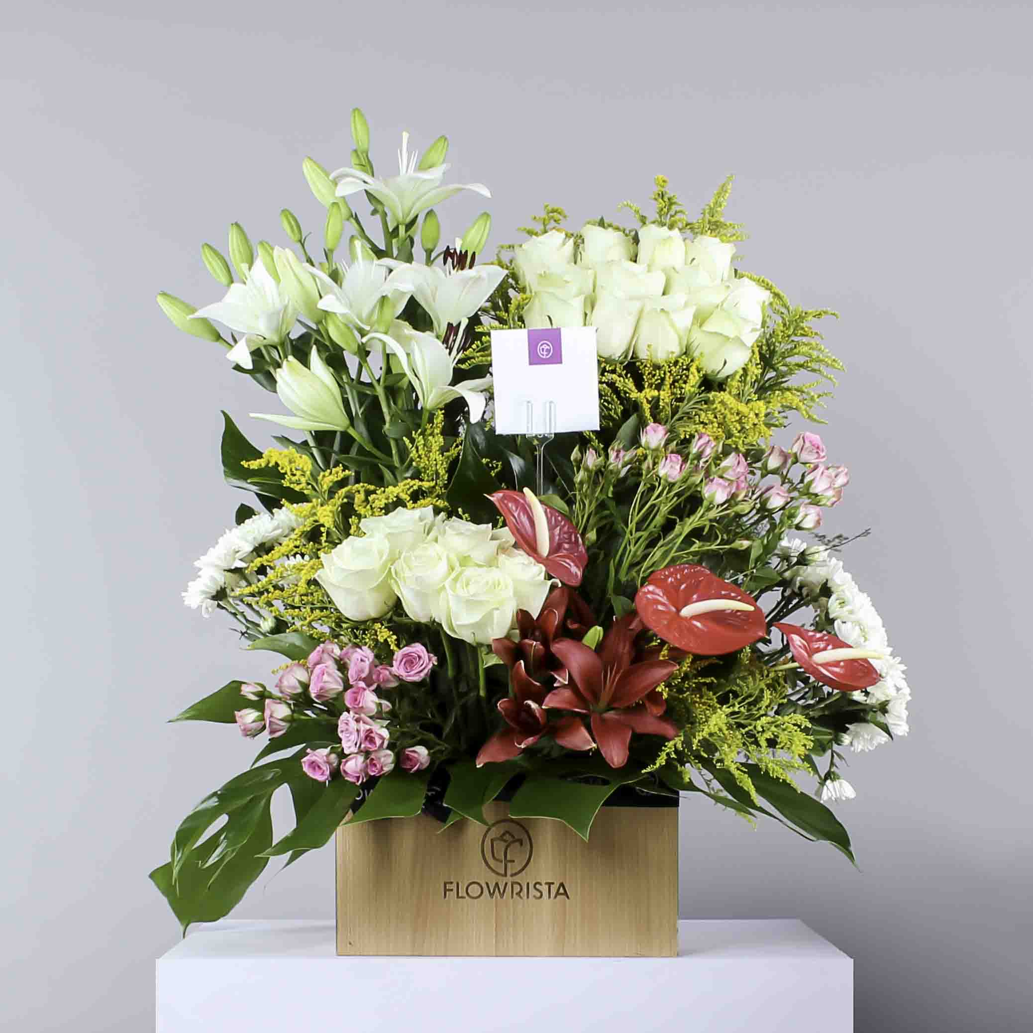 product-image-172