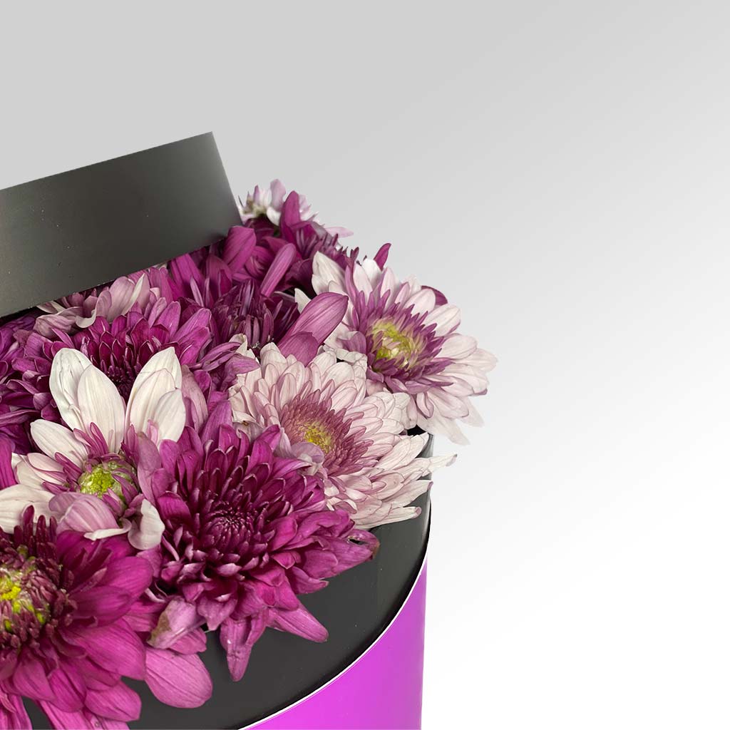 product-image-57
