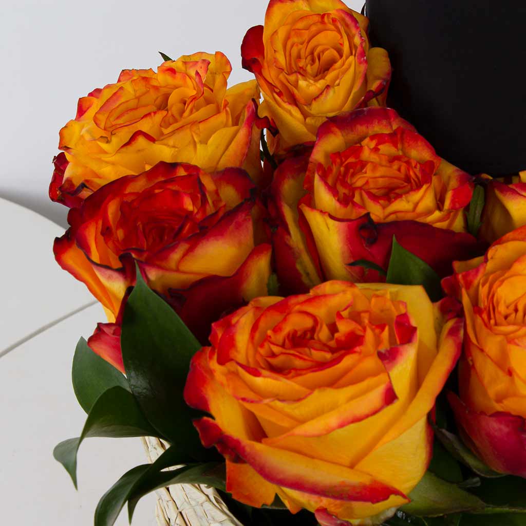 product-image-11444