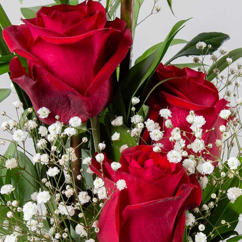 product-image-10765
