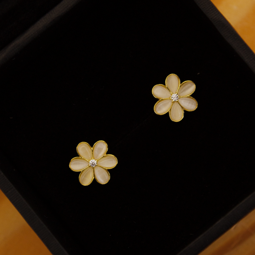 product-image-13595