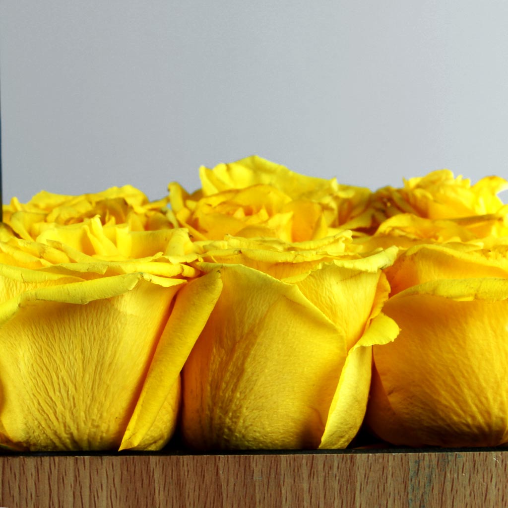 Yellow flat box