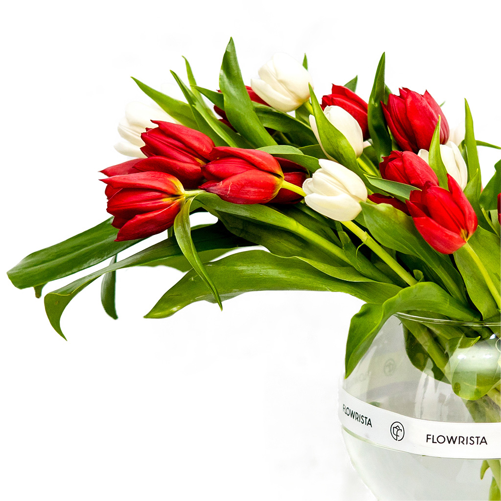 Tulips Mood On 