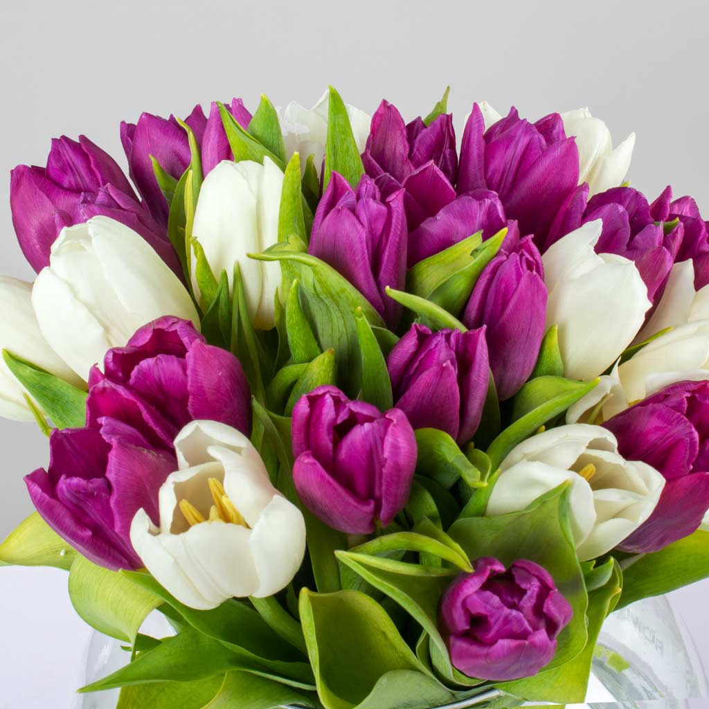 product-image-40