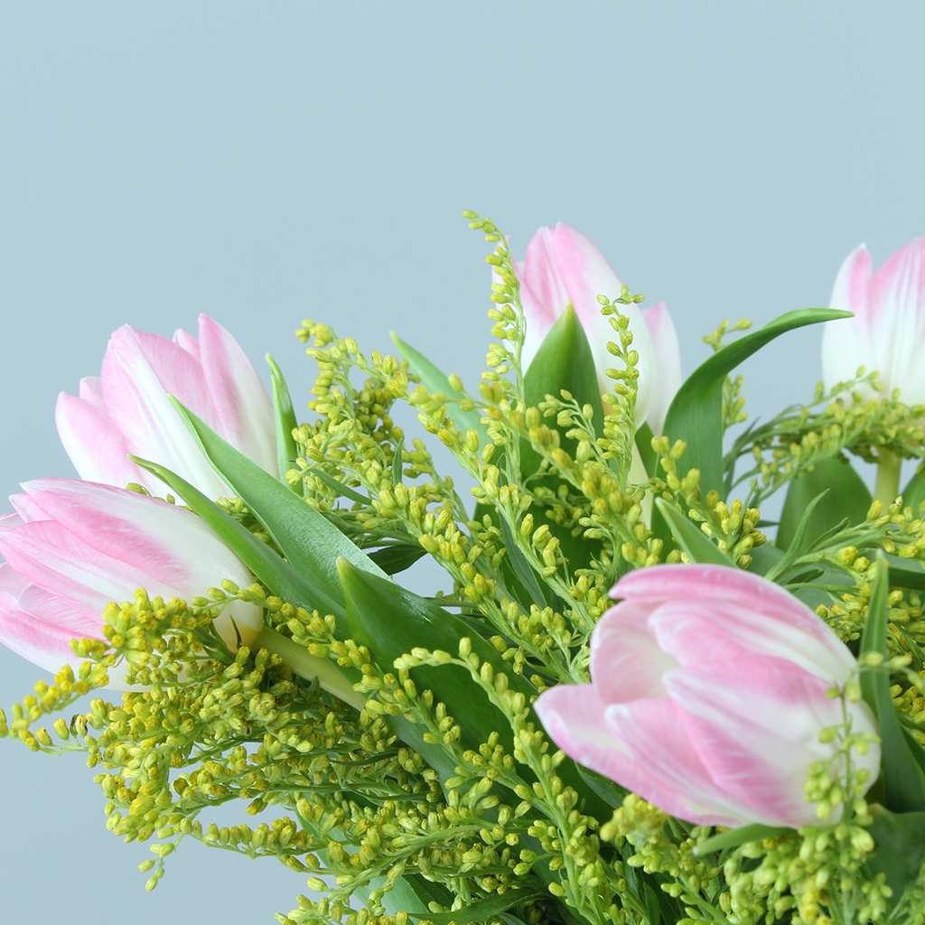 product-image-204