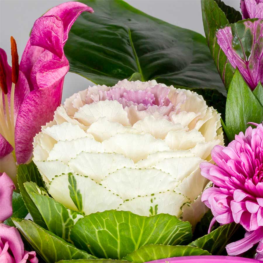 product-image-293