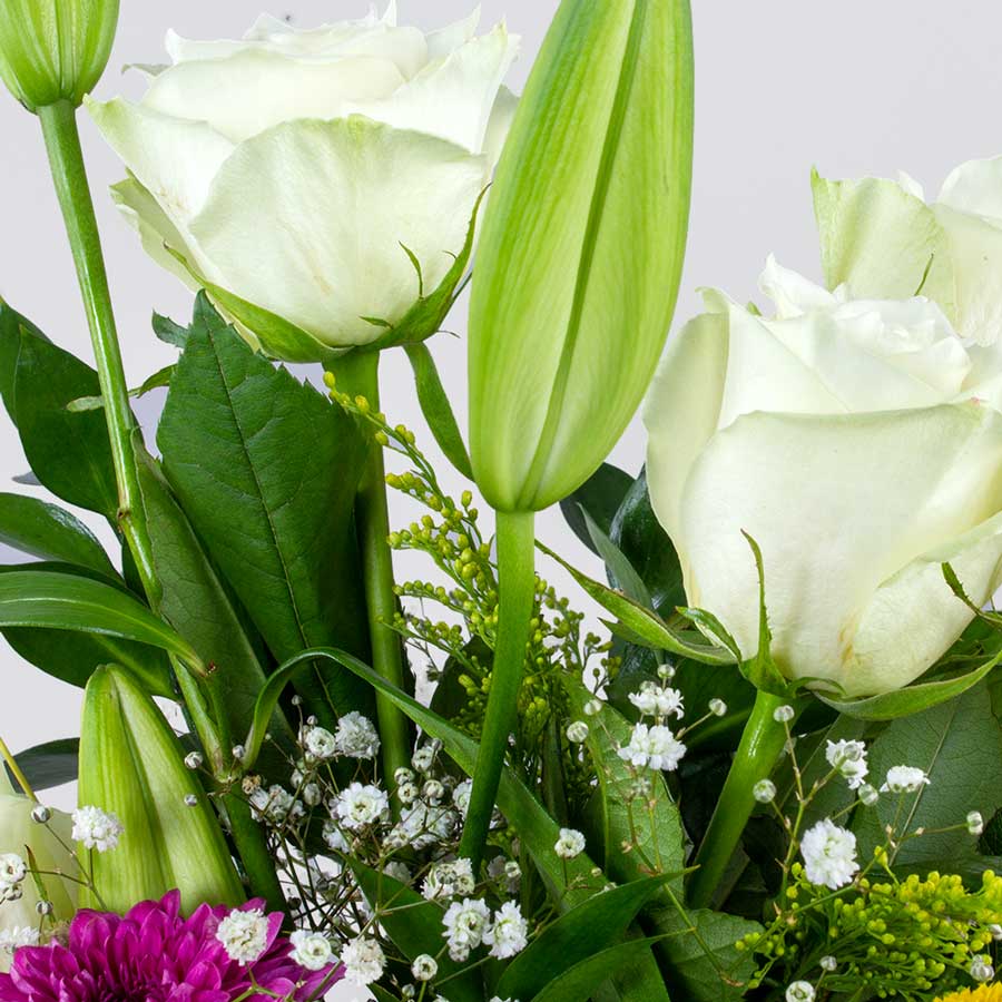 product-image-10640