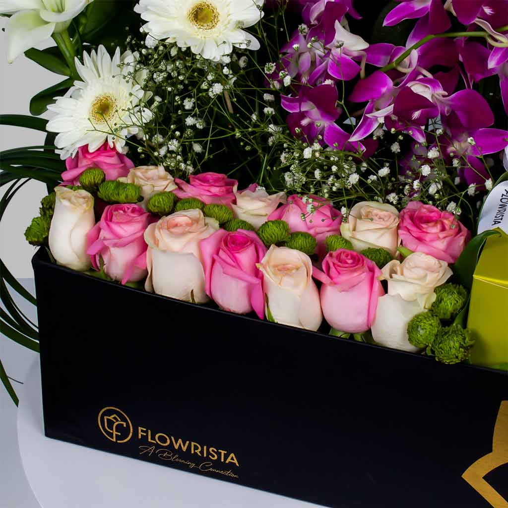 product-image-11637