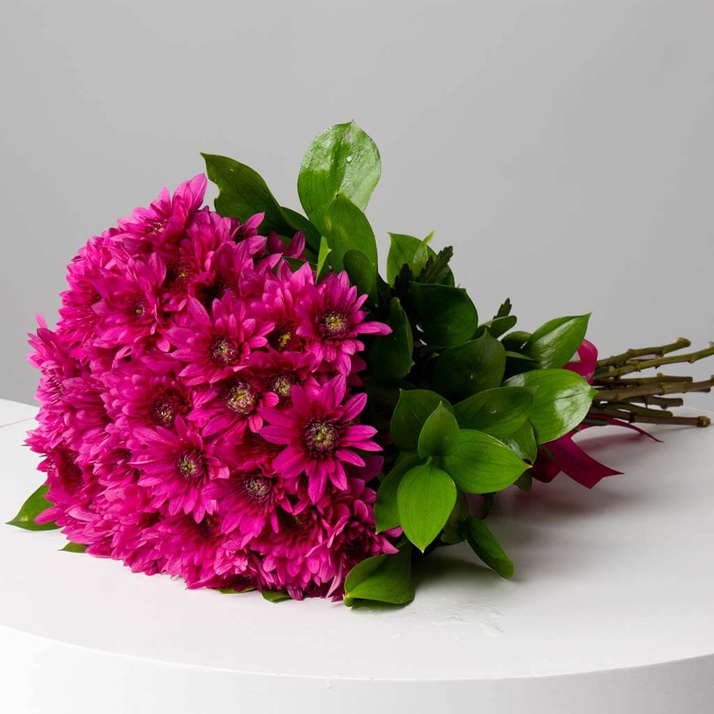 product-image-10797