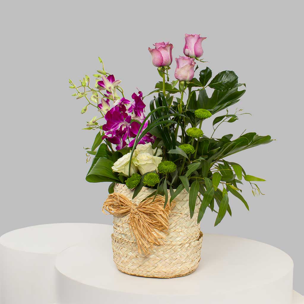 product-image-11638