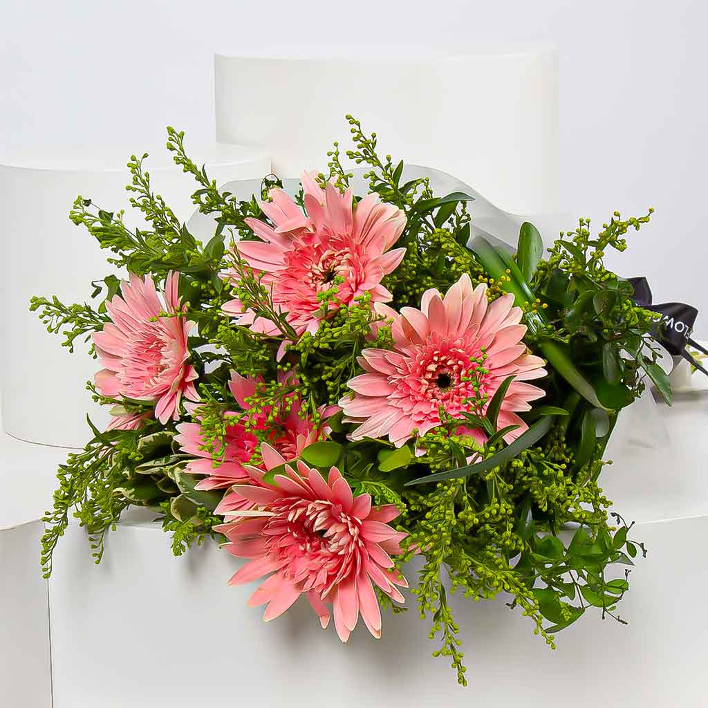 product-image-11387