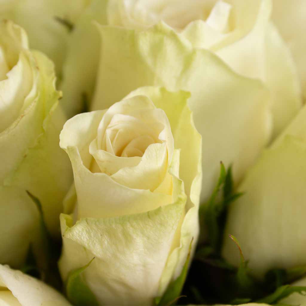 product-image-137