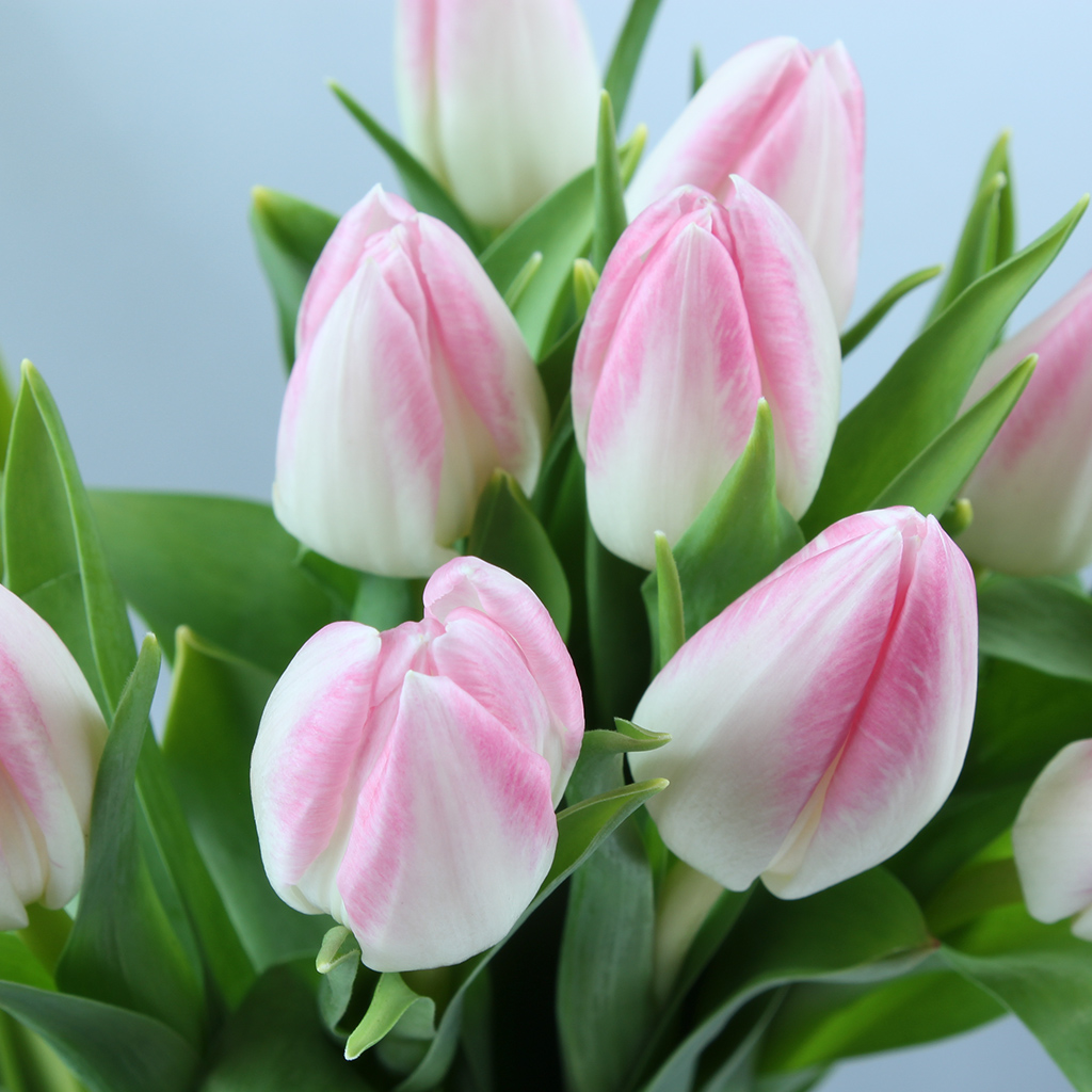 product-image-174
