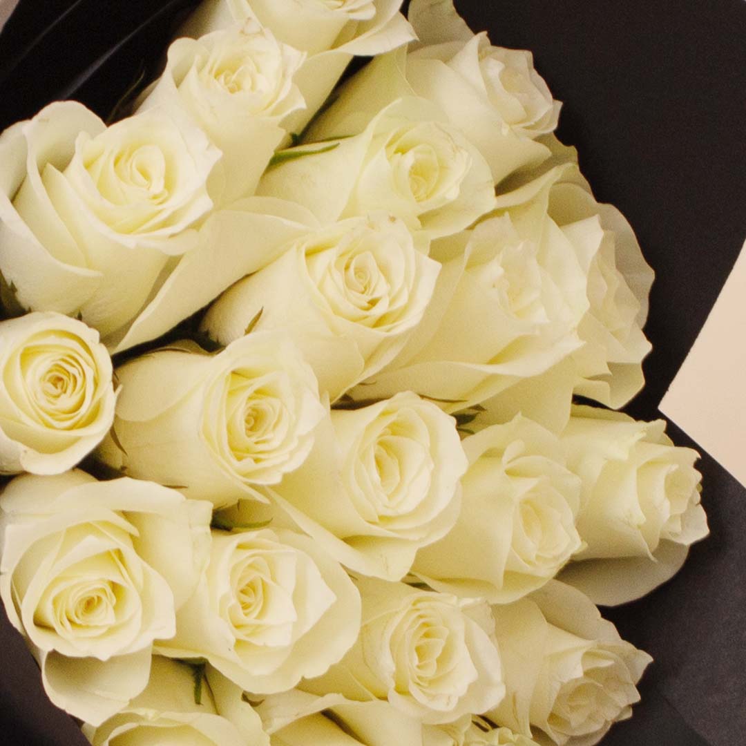 product-image-195