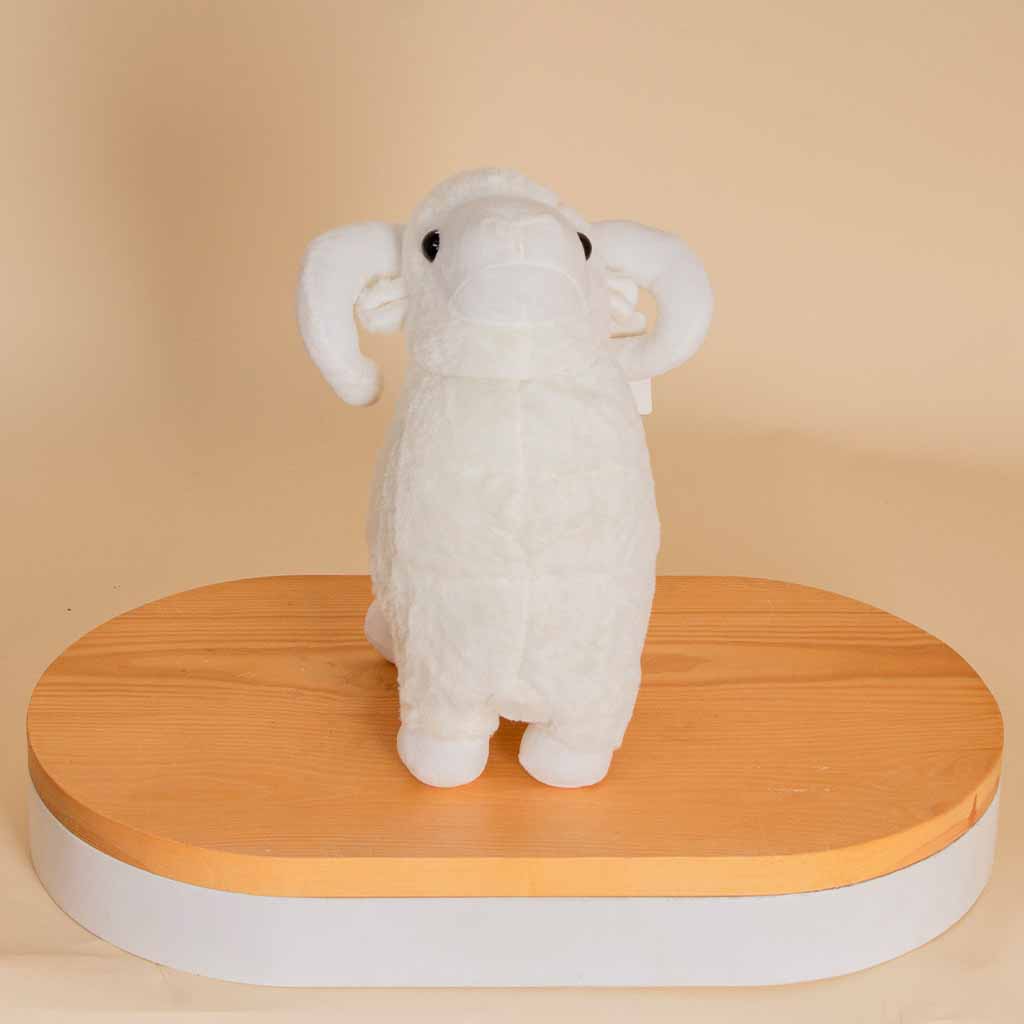 product-image-13688