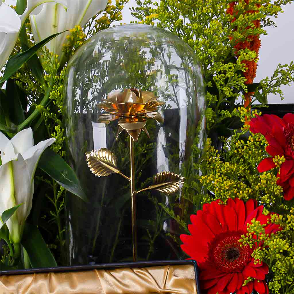 product-image-11339