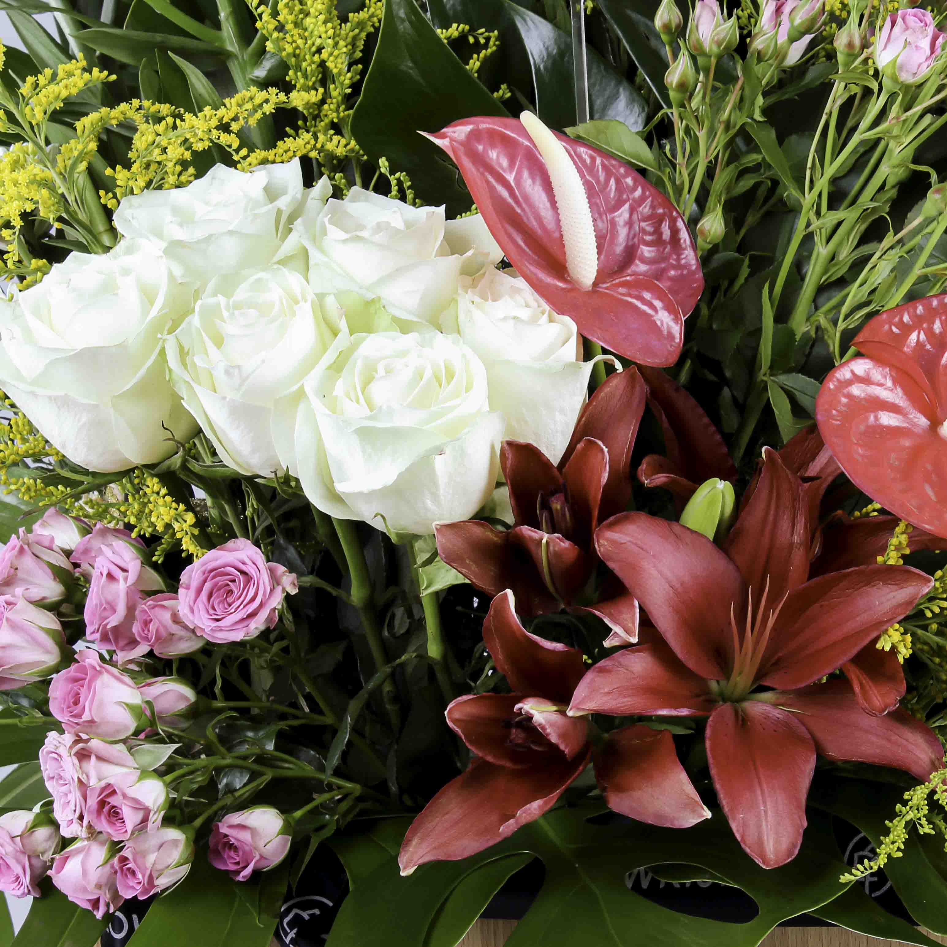 product-image-172