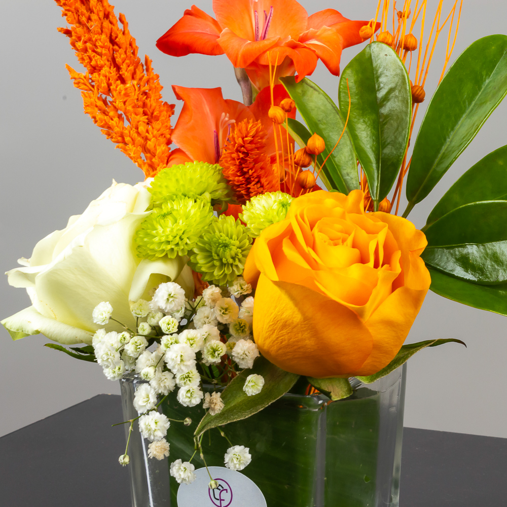 product-image-275