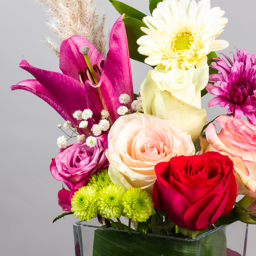 product-image-274