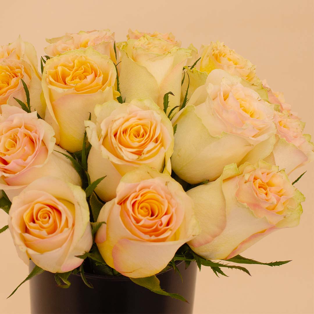 product-image-14142