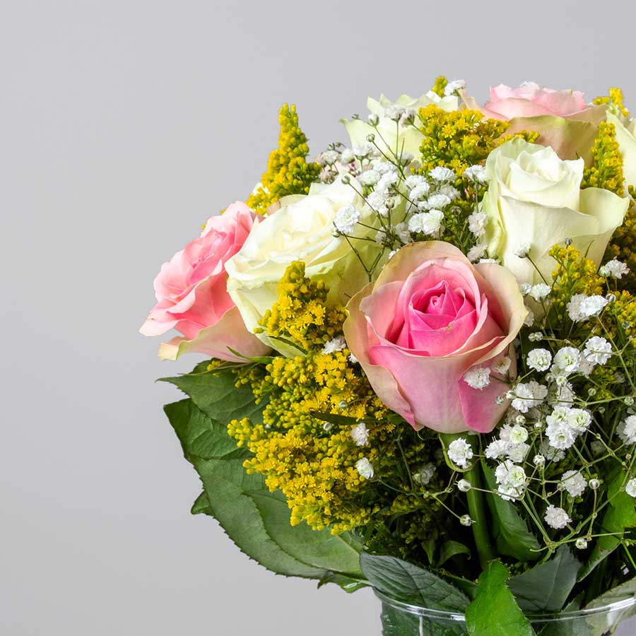 product-image-10806
