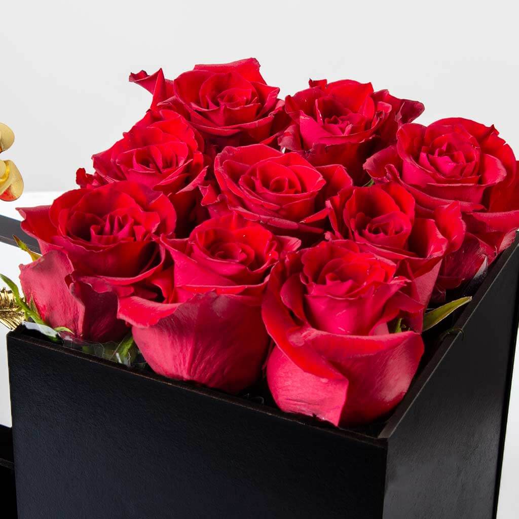 product-image-10936