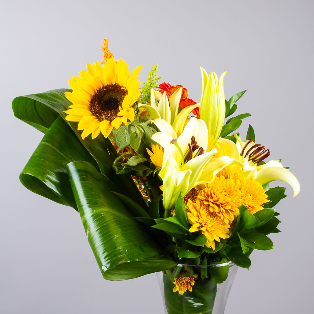 product-image-276
