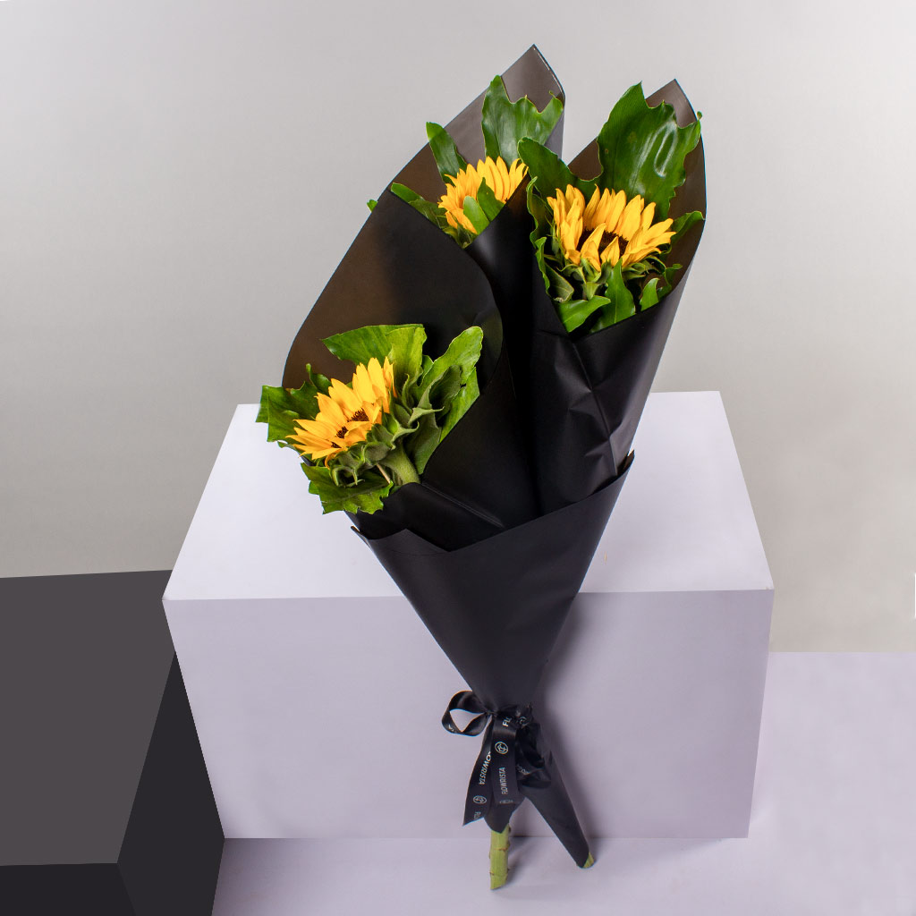 product-image-501
