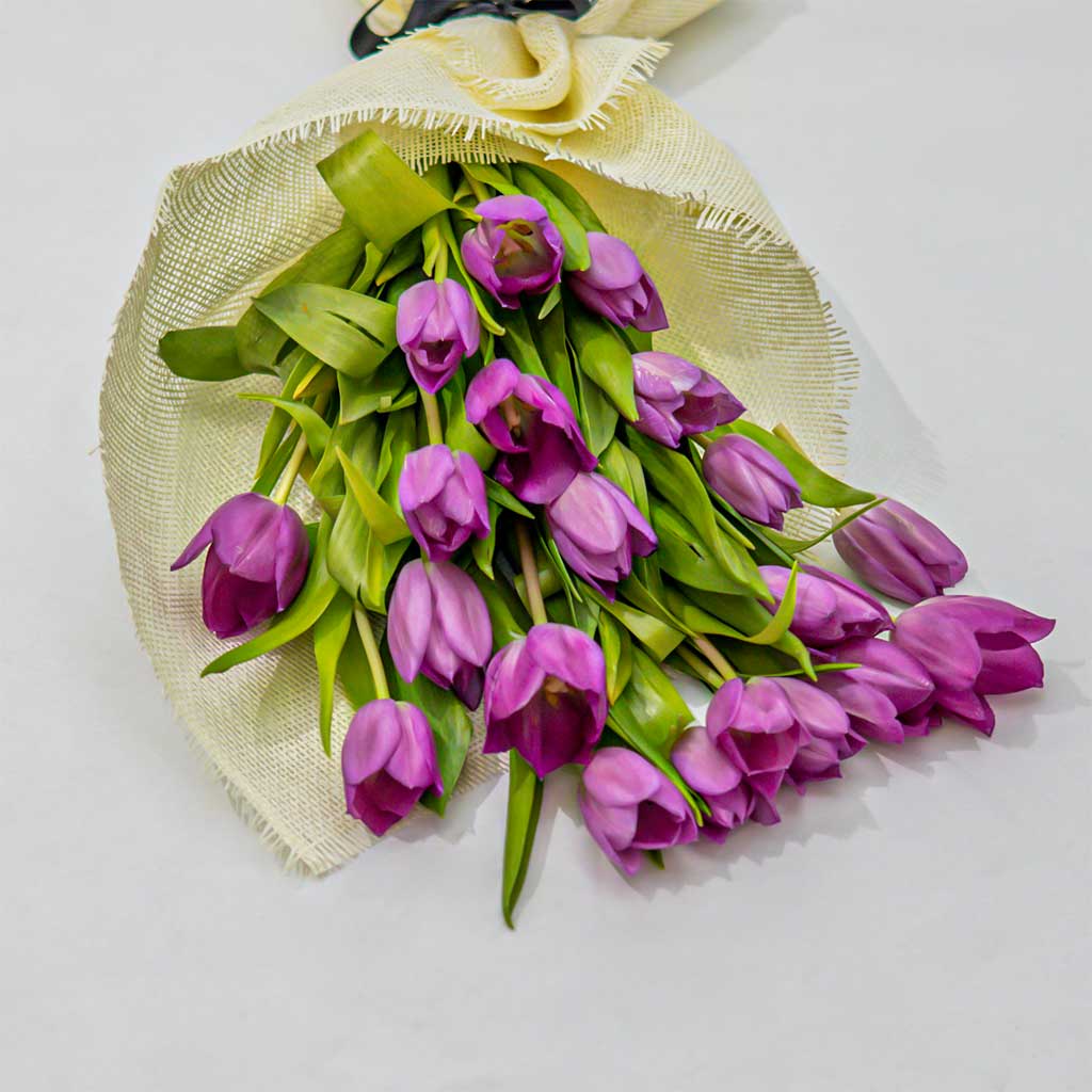 product-image-51