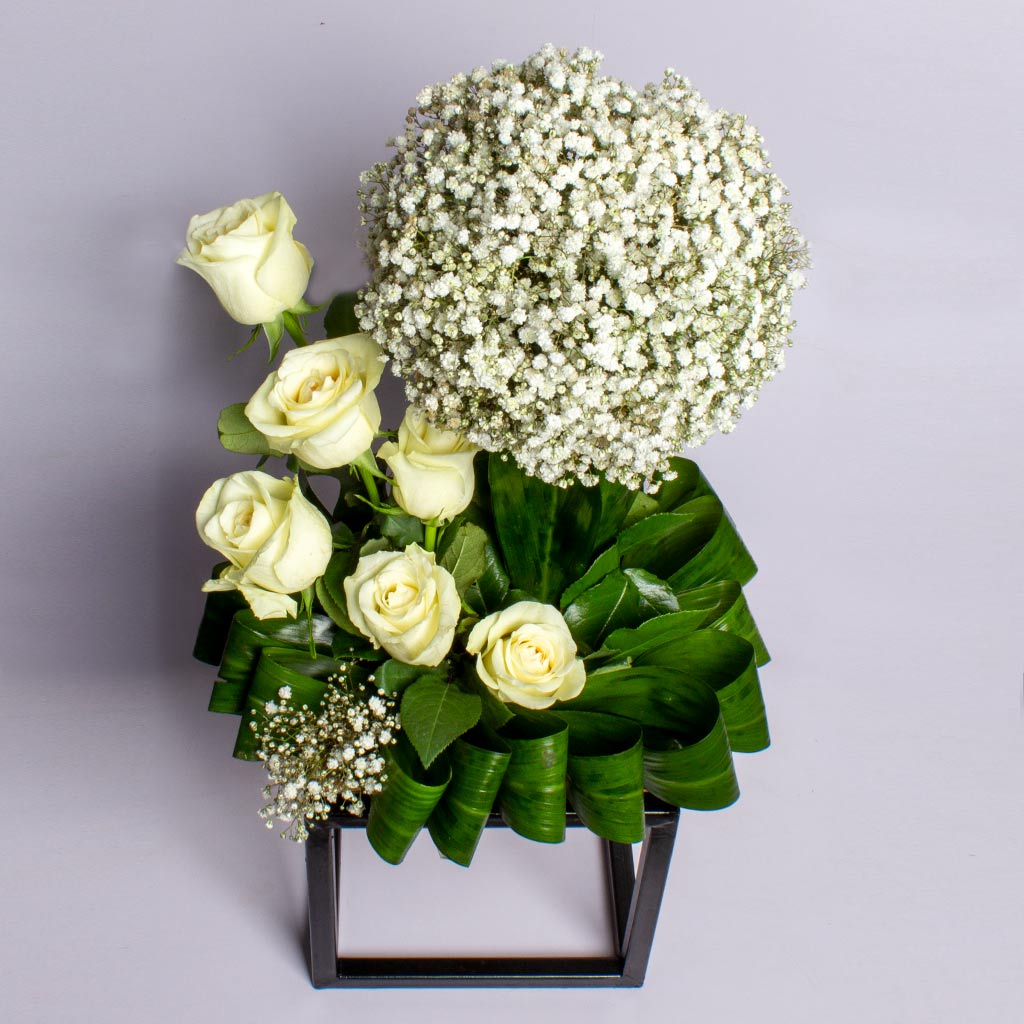 product-image-458