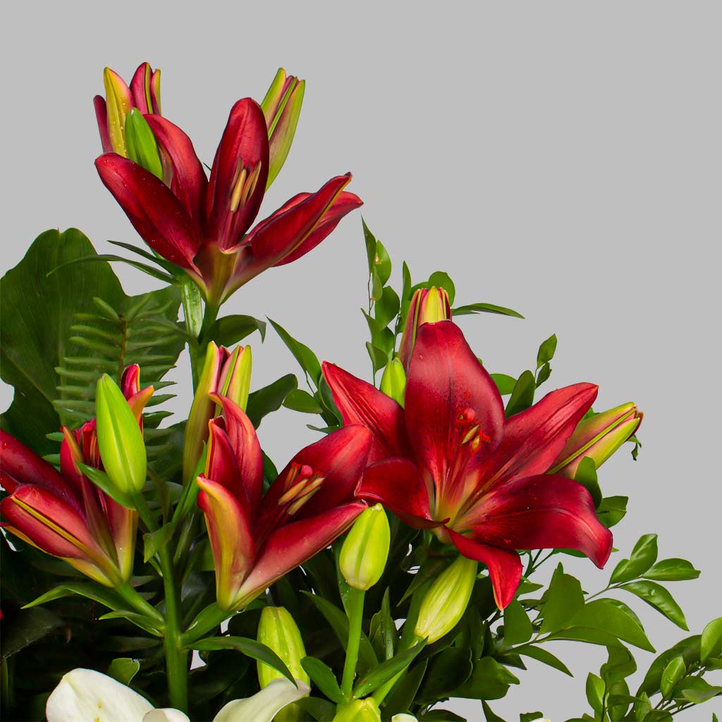 product-image-11606