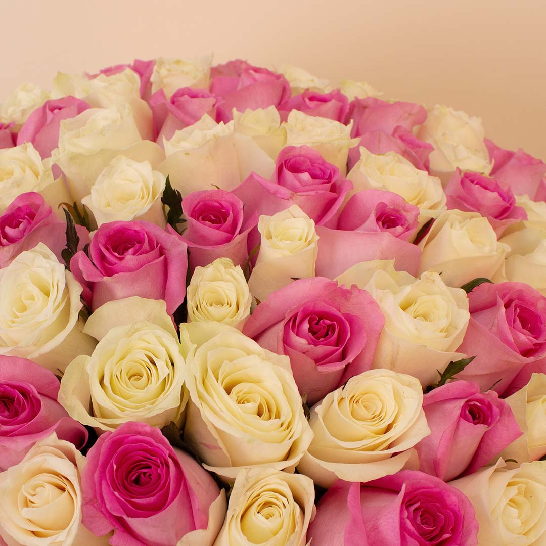 product-image-14138